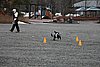 IMG_1221.JPG