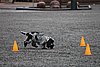 IMG_1229.JPG