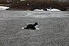 IMG_1234.JPG