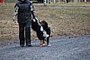 IMG_1246.JPG