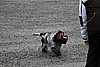 IMG_1254.JPG