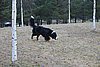 IMG_1257.JPG