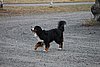 IMG_1283.JPG