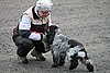 IMG_1289.JPG