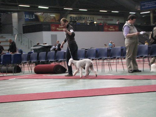 IMG_8379.JPG