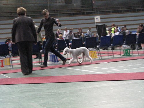 IMG_8380.JPG