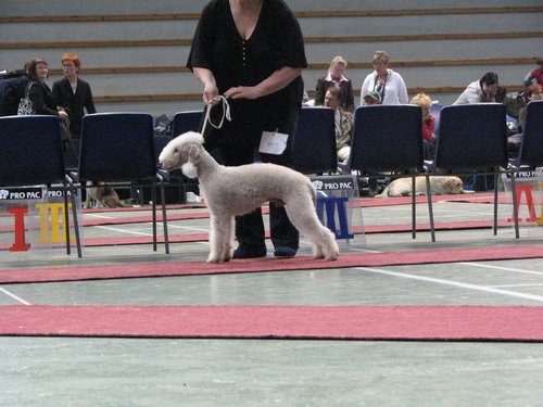 IMG_8393.JPG