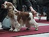 IMG_8365.JPG