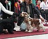 IMG_8366.JPG