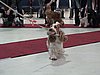 IMG_8369.JPG