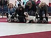 IMG_8371.JPG