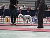 IMG_8378.JPG