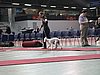 IMG_8379.JPG