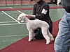 IMG_8385.JPG