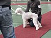 IMG_8386.JPG