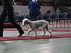 IMG_8387.JPG