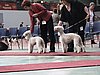 IMG_8391.JPG