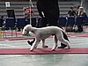 IMG_8396.JPG