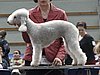IMG_8401.JPG