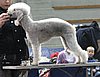 IMG_8402.JPG