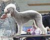 IMG_8404.JPG