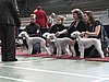 IMG_8413.JPG