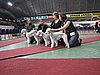 IMG_8419.JPG