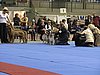 IMG_8428.JPG