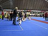 IMG_8429.JPG