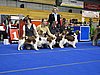 IMG_8434.JPG