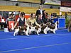 IMG_8435.JPG
