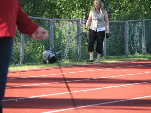 IMG_5039.JPG