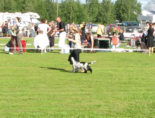 IMG_5053.JPG