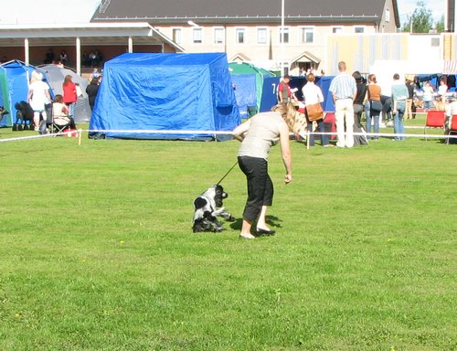 IMG_5061.JPG