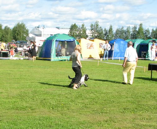 IMG_5063.JPG