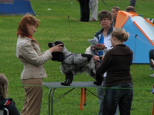 IMG_5258.JPG