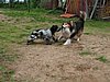 IMG_4966.JPG