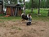 IMG_4971.JPG