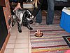 IMG_4977.JPG