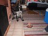 IMG_4980.JPG