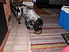 IMG_4981.JPG
