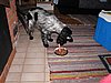 IMG_4982.JPG