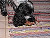 IMG_4984.JPG