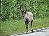 IMG_4992.JPG