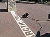IMG_5009.JPG