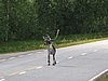 IMG_5016.JPG