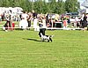 IMG_5053.JPG