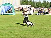 IMG_5059.JPG