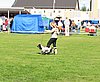 IMG_5060.JPG