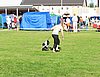 IMG_5061.JPG